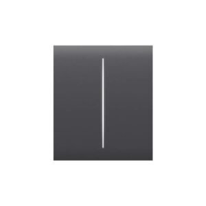 Панель вимикача Ajax CenterButton (2-gang) графіт